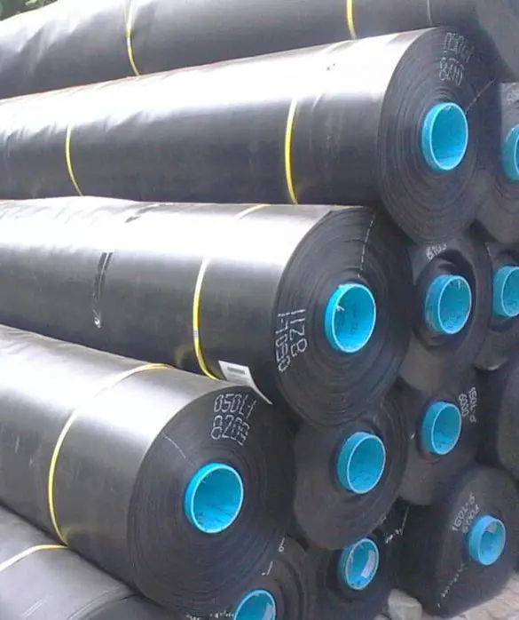 Bạt Lót Ao HDPE Giải Pháp Hiệu Quả Cho Nghề Nuôi Trồng Thủy Sản 38 Bạt Lót Ao HDPE Giải Pháp Hiệu Quả Cho Nghề Nuôi Trồng Thủy Sản