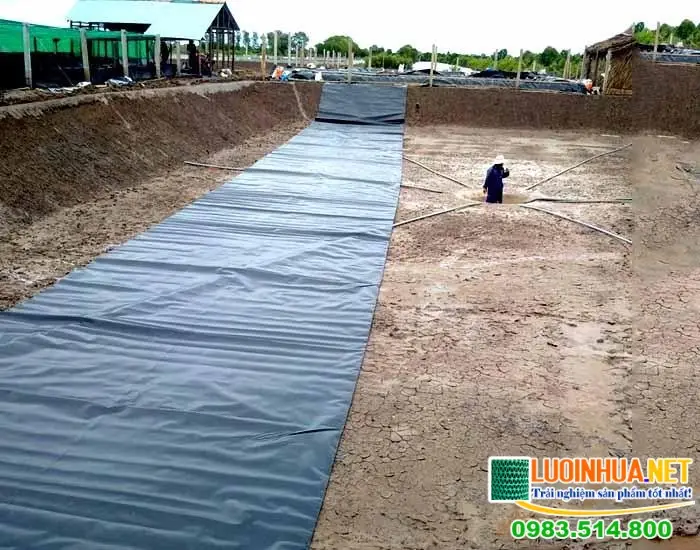 Bạt Lót Ao HDPE Giải Pháp Hiệu Quả Cho Nghề Nuôi Trồng Thủy Sản 27 Bạt Lót Ao HDPE Giải Pháp Hiệu Quả Cho Nghề Nuôi Trồng Thủy Sản