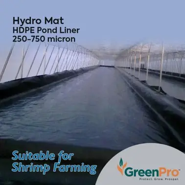 Bạt Lót Ao HDPE Giải Pháp Hiệu Quả Cho Nghề Nuôi Trồng Thủy Sản 37 Bạt Lót Ao HDPE Giải Pháp Hiệu Quả Cho Nghề Nuôi Trồng Thủy Sản