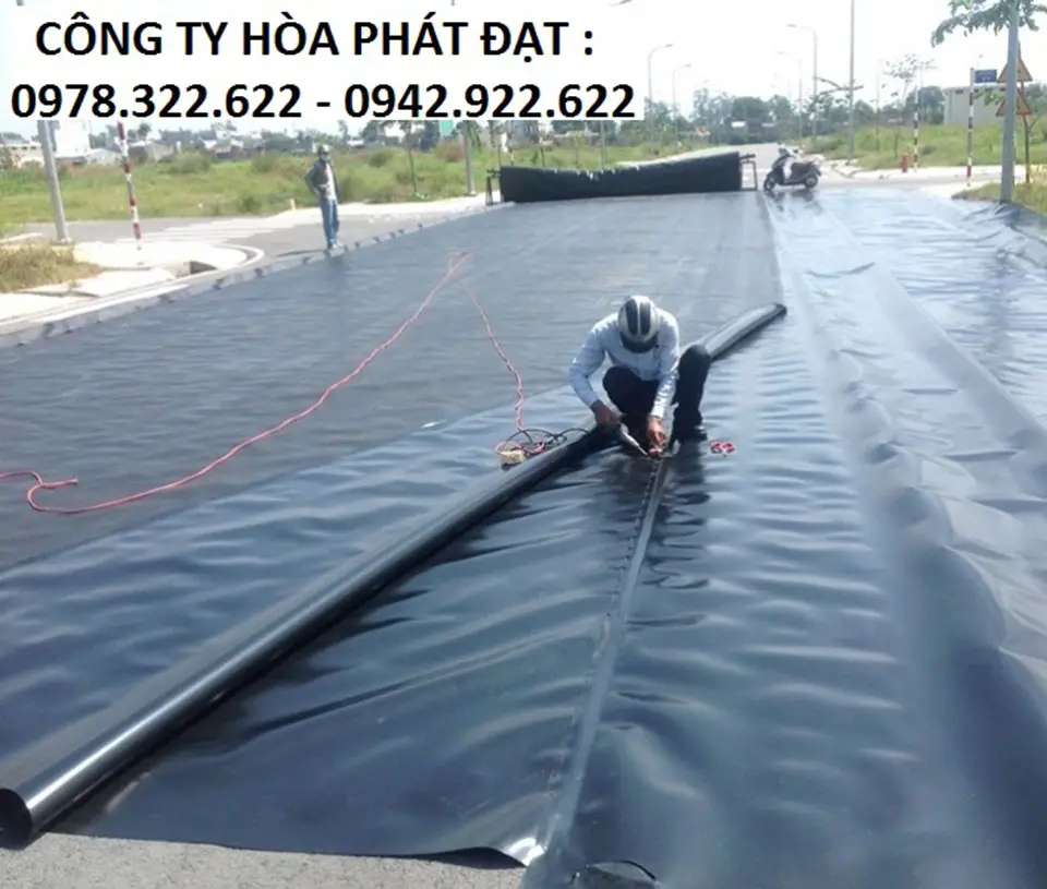 Bạt Lót Ao HDPE Giải Pháp Hiệu Quả Cho Nghề Nuôi Trồng Thủy Sản 30 Bạt Lót Ao HDPE Giải Pháp Hiệu Quả Cho Nghề Nuôi Trồng Thủy Sản