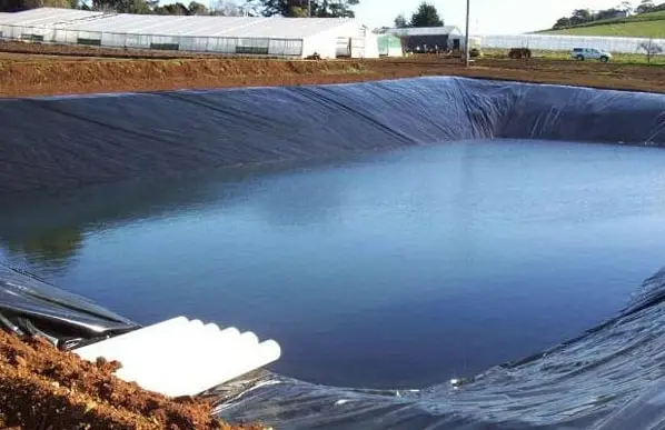 Bạt Lót Ao HDPE Giải Pháp Hiệu Quả Cho Nghề Nuôi Trồng Thủy Sản 36 Bạt Lót Ao HDPE Giải Pháp Hiệu Quả Cho Nghề Nuôi Trồng Thủy Sản