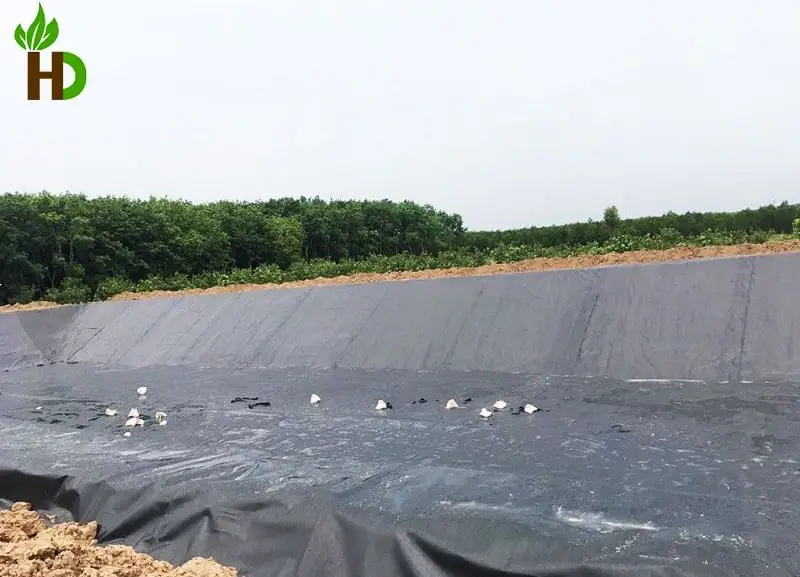 Bạt Lót Ao HDPE Giải Pháp Hiệu Quả Cho Nghề Nuôi Trồng Thủy Sản 26 Bạt Lót Ao HDPE Giải Pháp Hiệu Quả Cho Nghề Nuôi Trồng Thủy Sản