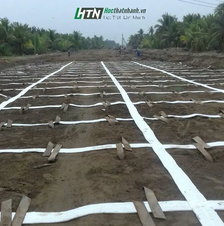 Máy Ép Cọc Bấc Thấm - Giải Pháp Hiện Đại Cho Nền Móng Kiên Cố