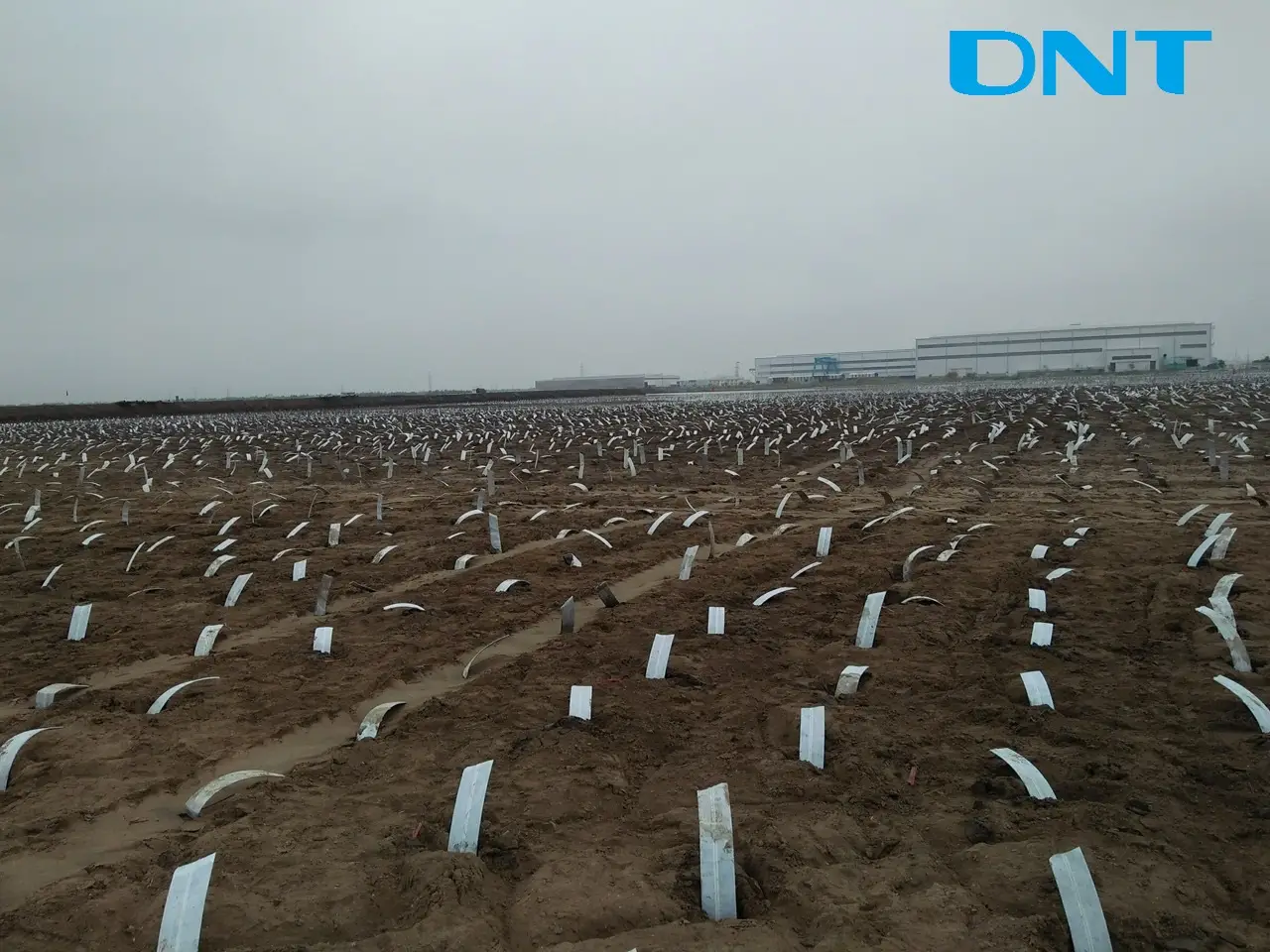 Thi Công Bấc Thấm Hút Chân Không