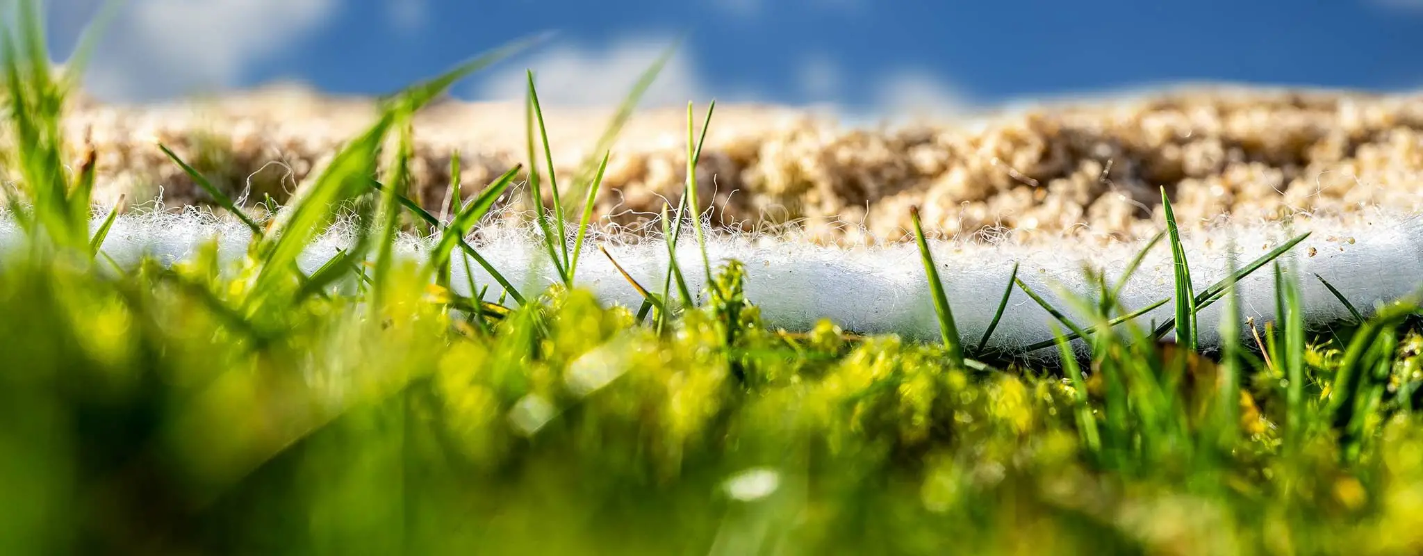 Bán Vải Địa Kỹ Thuật Tại Đà Nẵng