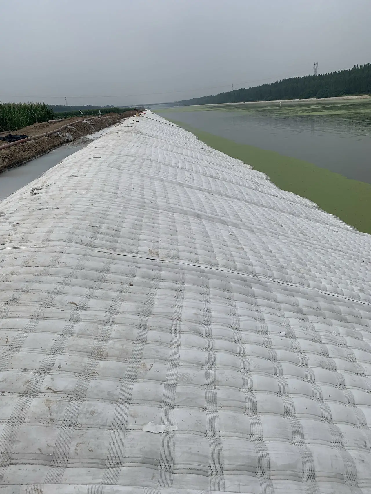 Vải Địa Kỹ Thuật Phức Hợp Giải Pháp Cho Các Công Trình Xây Dựng Hiện Đại