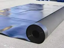 Màng Lót HDPE Giải Pháp Chống Thấm Toàn Diện, Nâng Tầm Công Trình & Phát Triển Bền Vững 24 Màng Lót HDPE Giải Pháp Chống Thấm Toàn Diện, Nâng Tầm Công Trình Phát Triển Bền Vững