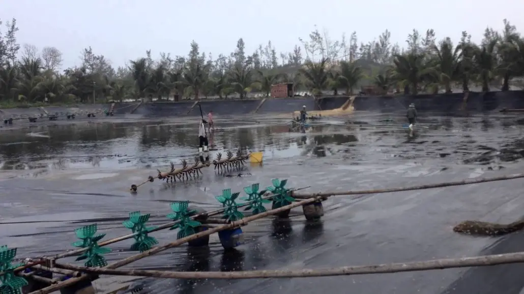 Màng Lót HDPE Giải Pháp Chống Thấm Toàn Diện, Nâng Tầm Công Trình & Phát Triển Bền Vững 17 Màng Lót HDPE Giải Pháp Chống Thấm Toàn Diện, Nâng Tầm Công Trình Phát Triển Bền Vững