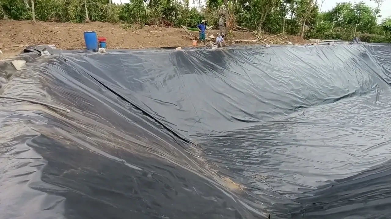 Thi Công Bạt Lót Hồ Giải Pháp Hiện Đại Cho Nuôi Trồng Thủy Sản Bền Vững