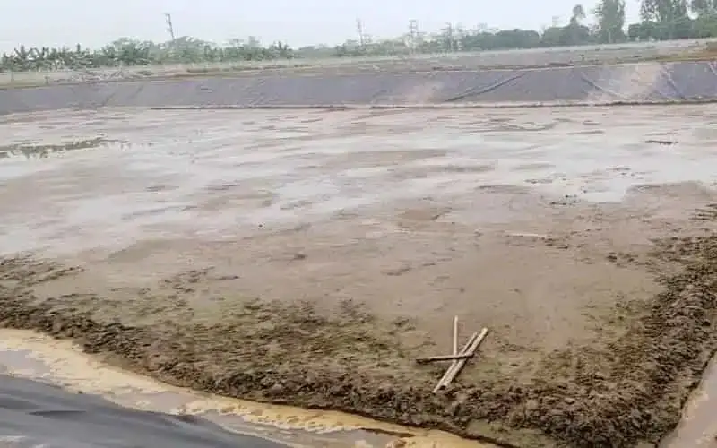 Thi Công Bạt Lót Hồ Giải Pháp Hiện Đại Cho Nuôi Trồng Thủy Sản Bền Vững