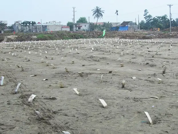 Quy Trình Thi Công Bấc Thấm Hướng Dẫn Chi Tiết Từ A đến Z