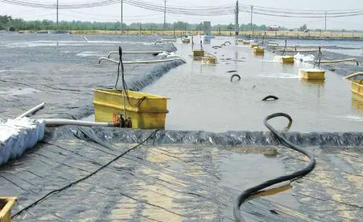 Bấc Thấm Nền Đường Một Khía Cạnh Quan Trọng Trong Xây Dựng Hạ Tầng