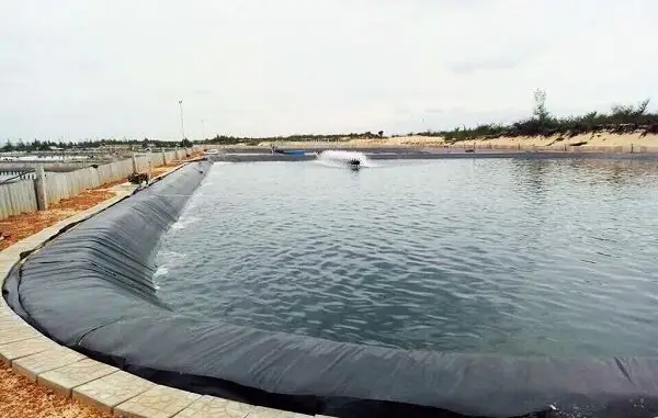 Màng HDPE 1mm – Giải Pháp Chống Thấm Toàn Diện  Bền Vững