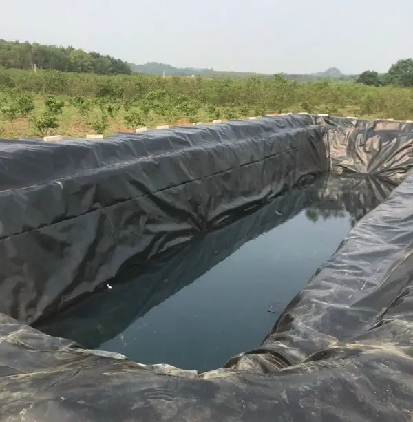 Màng Nhựa HDPE Đặc Điểm và Ứng Dụng