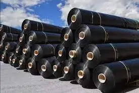 Màng Nhựa HDPE Đặc Điểm và Ứng Dụng