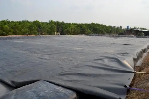 Màng HDPE 1.5 mm - Giải Pháp Chống Thấm Toàn Diện Bền Vững