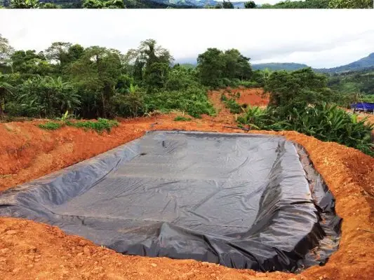 Bạt lót HDPE – Giải pháp tối ưu cho nông nghiệp và xây dựng bền vững