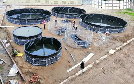 Máy hàn bạt ao tôm - Nhà cung cấp uy tín Hưng Phú và thi công