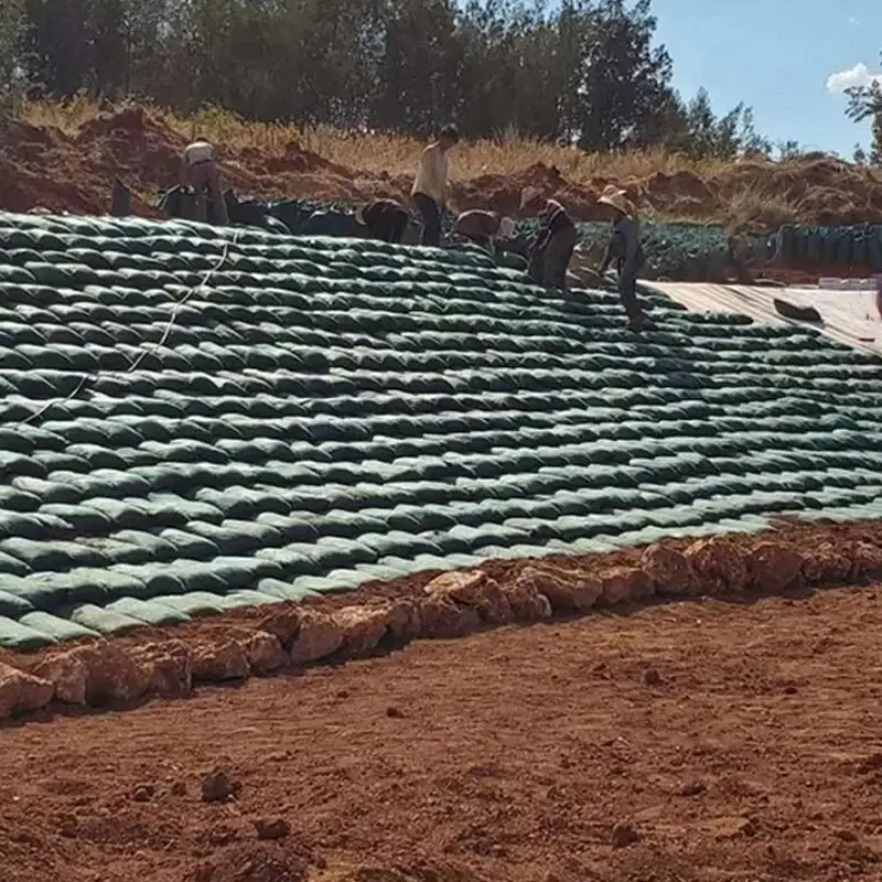 Túi vải địa kỹ thuật Geobag