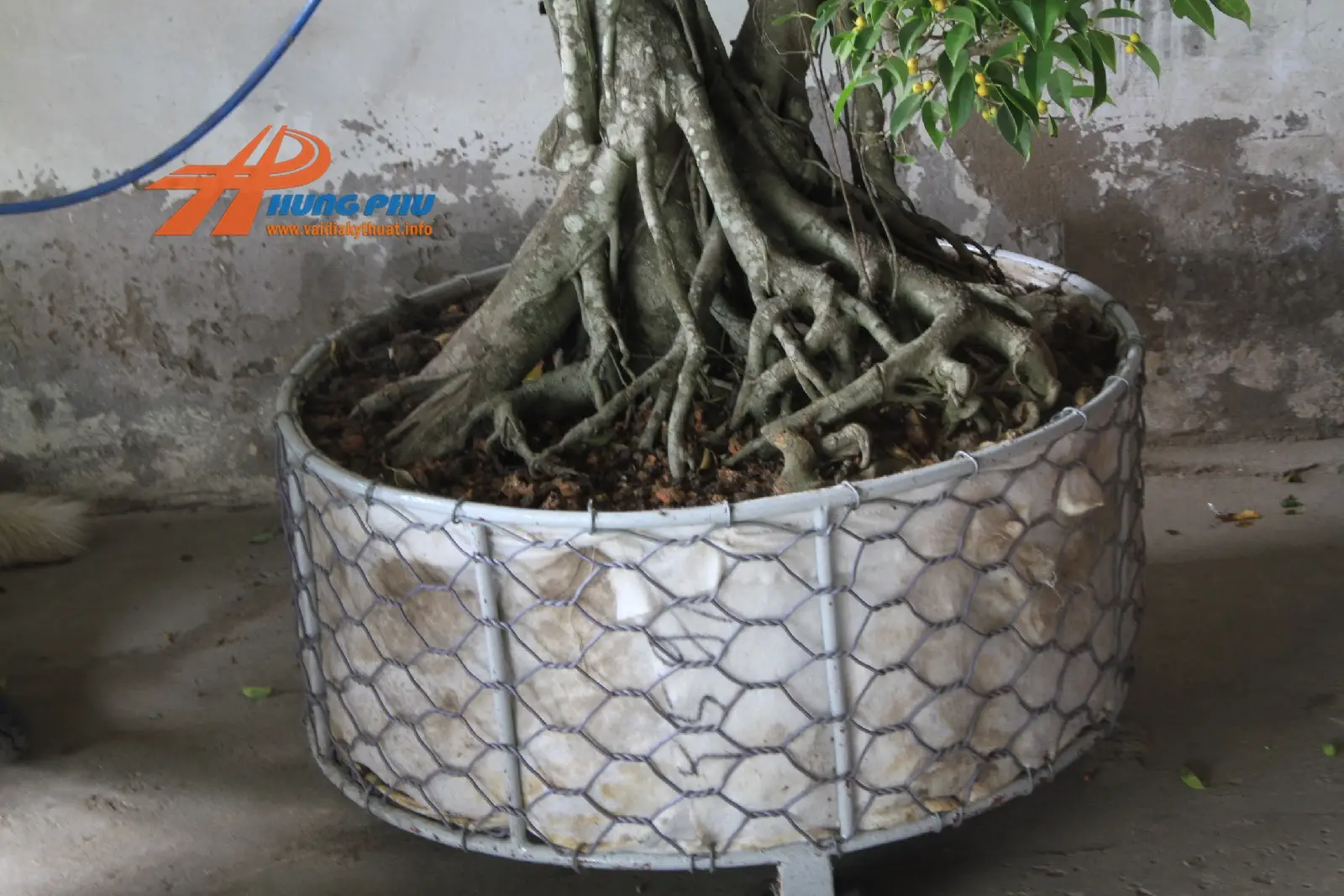 Túi vải địa kỹ thuật trồng cây