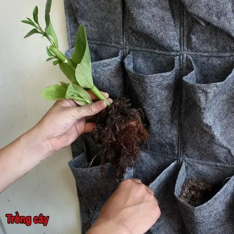 Túi vải địa kỹ thuật trồng cây