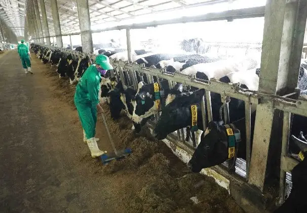 Nước thải chăn nuôi là một trong những yếu tố - Đe dọa Hệ sinh thái  Giải pháp Bền vững