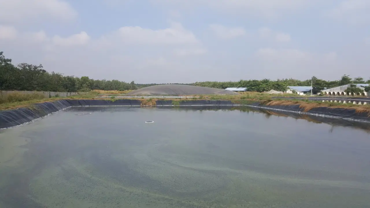 Nước thải chăn nuôi là một trong những yếu tố - Đe dọa Hệ sinh thái  Giải pháp Bền vững