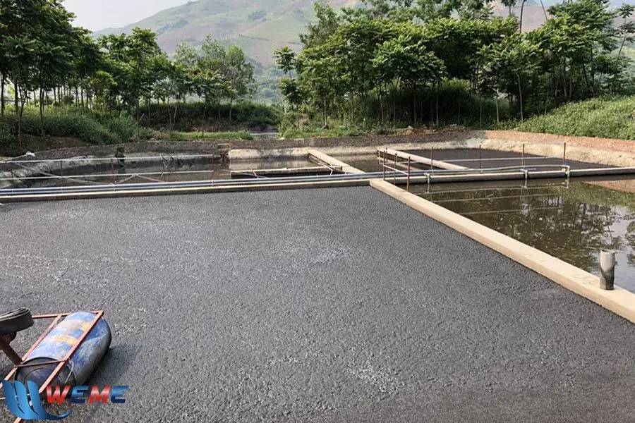 Nước thải chăn nuôi là một trong những yếu tố - Đe dọa Hệ sinh thái  Giải pháp Bền vững