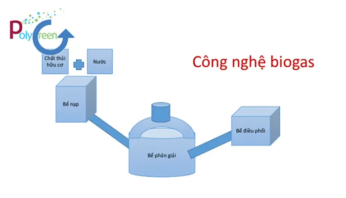 Xử lý nước thải chăn nuôi heo sau biogas - Giải pháp cho Nông nghiệp Bền vững