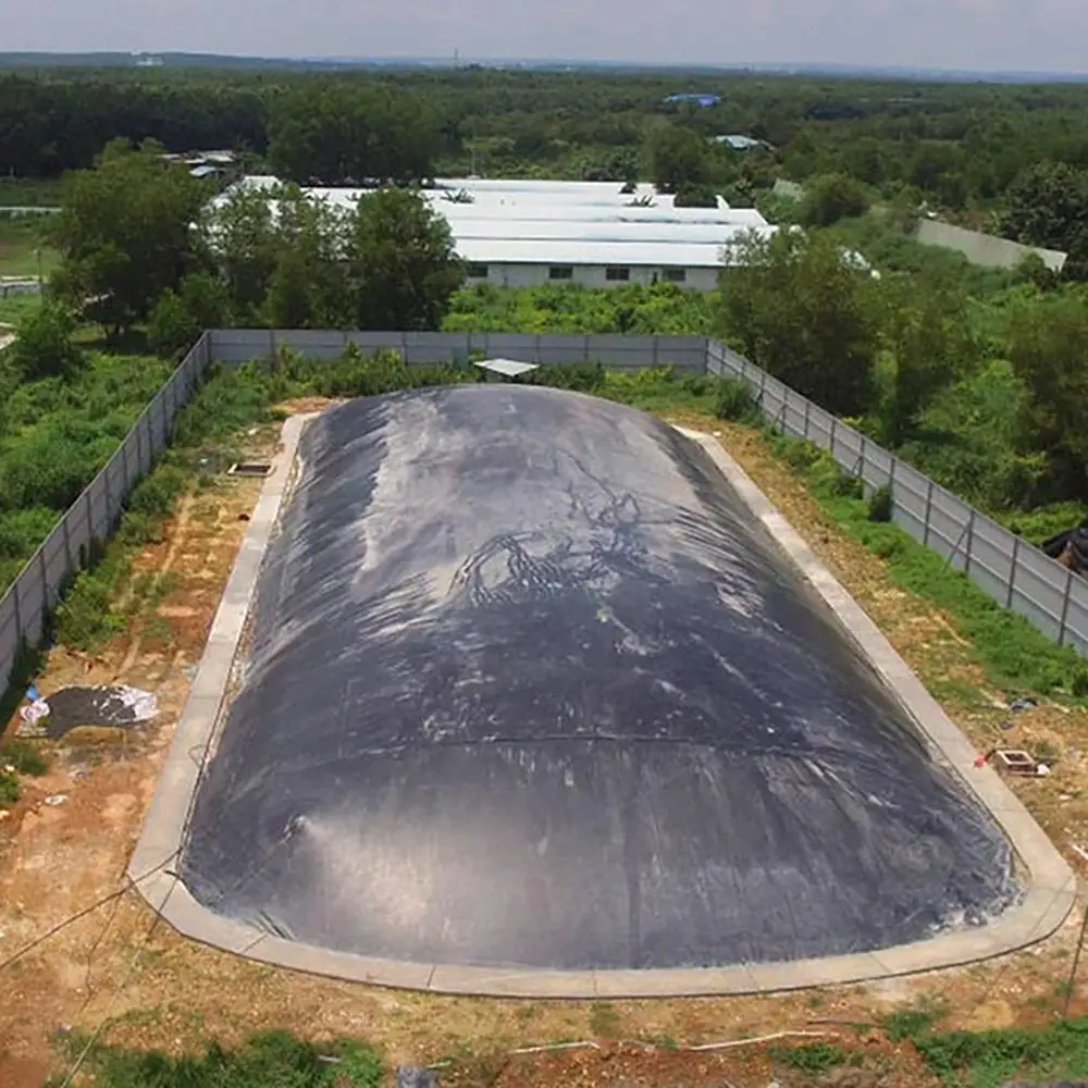 Xử lý nước thải chăn nuôi heo sau biogas - Giải pháp cho Nông nghiệp Bền vững