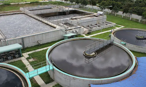 Xử lý nước thải chăn nuôi heo sau biogas - Giải pháp cho Nông nghiệp Bền vững