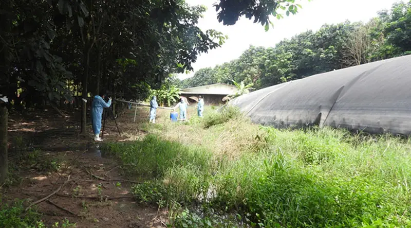 Sử Dụng Nước Thải Từ Hầm Biogas Để Tưới Cây - Giải Pháp Nông Nghiệp Bền Vững  Hiệu Quả