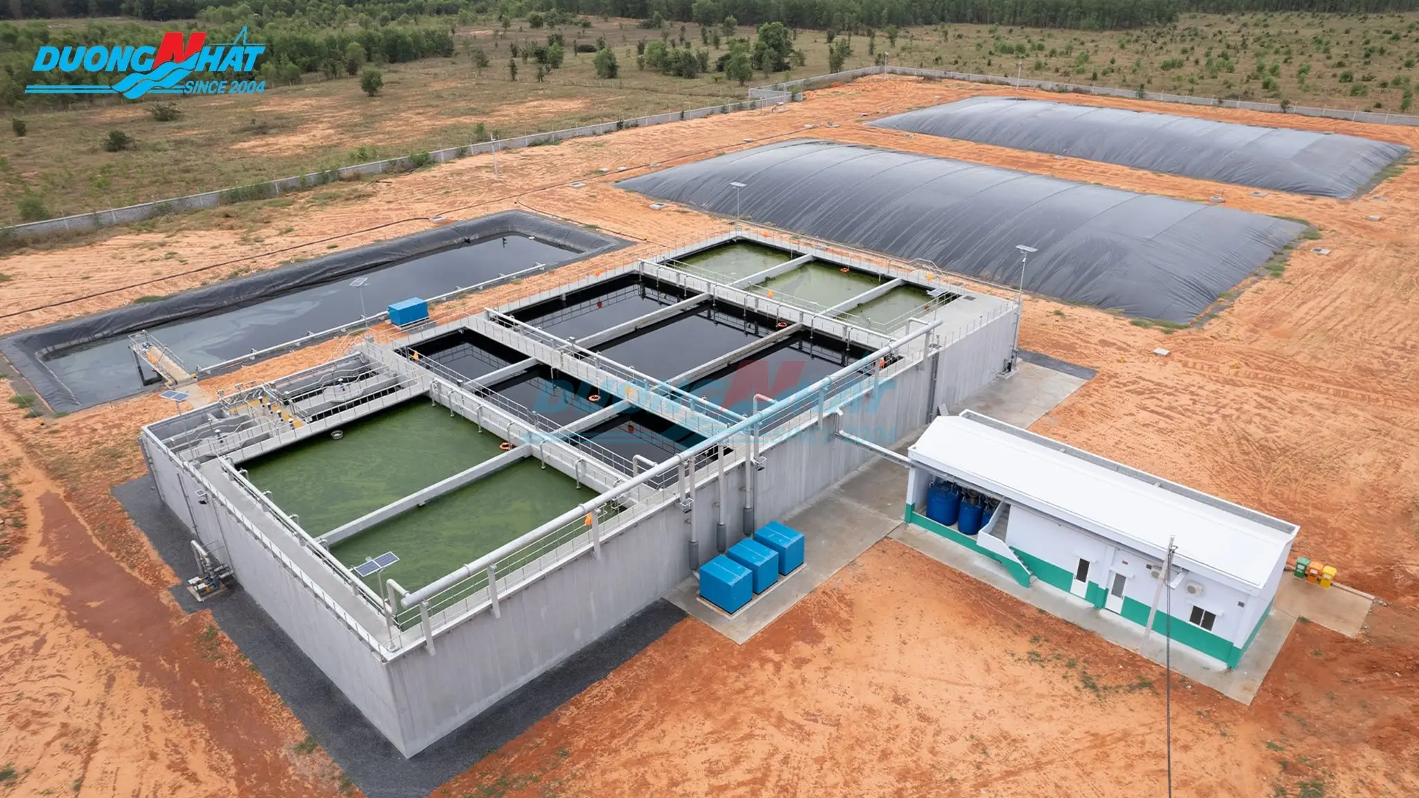 Xử lý nước thải chăn nuôi heo - Giải pháp bền vững cho nông nghiệp hiện đại