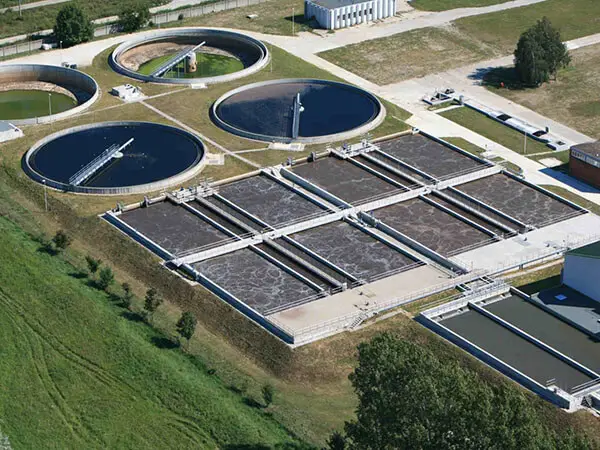 Xử lý nước thải chăn nuôi heo - Giải pháp bền vững cho nông nghiệp hiện đại