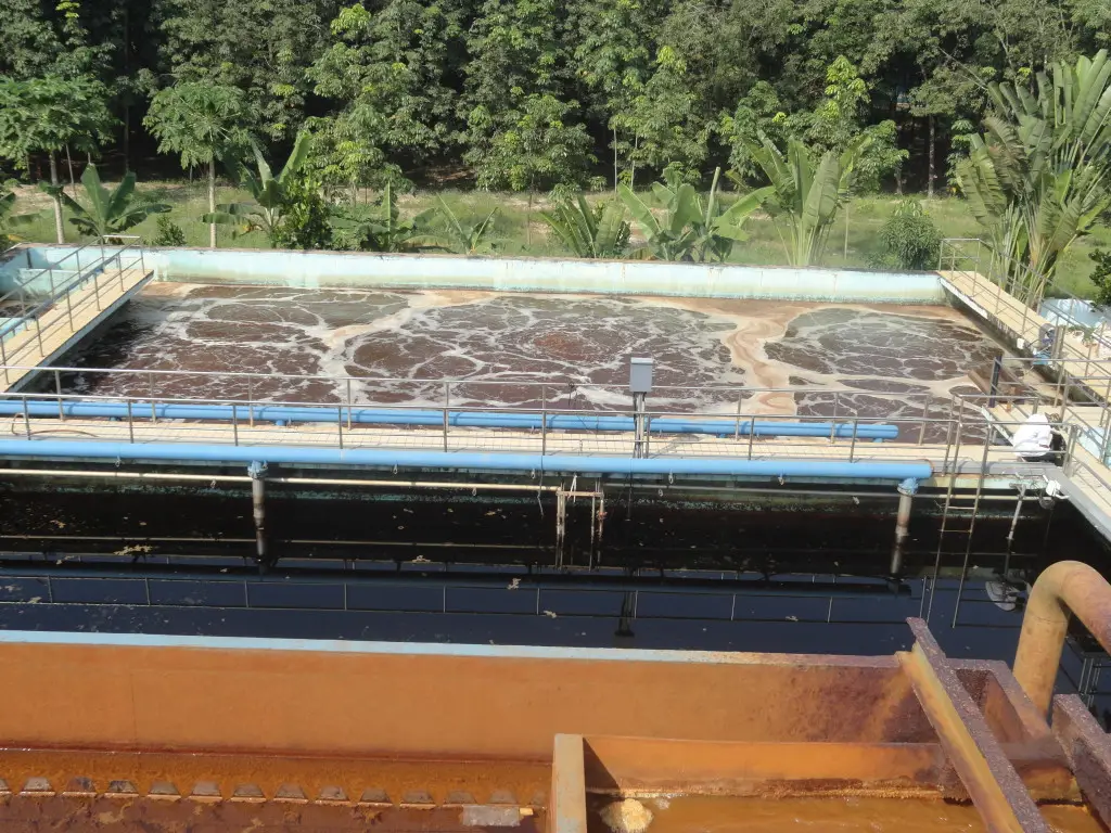 Xử lý nước thải chăn nuôi heo - Giải pháp bền vững cho nông nghiệp hiện đại