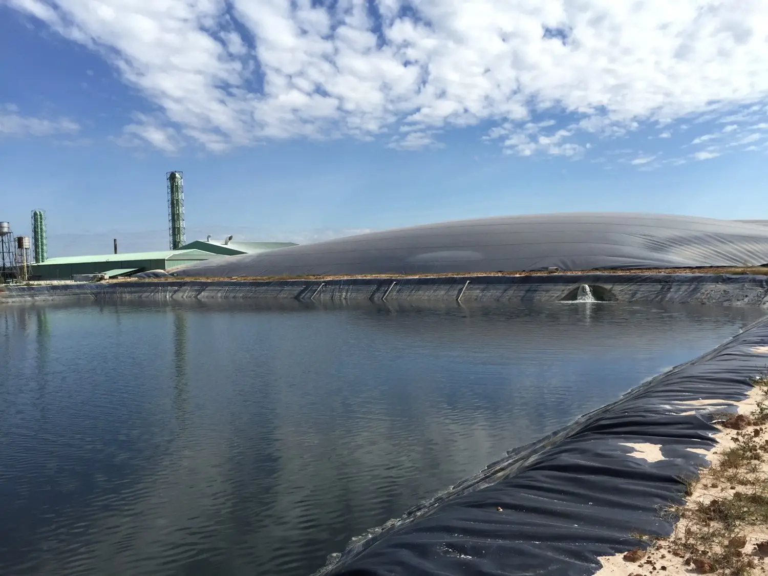 Xử lý nước thải chăn nuôi heo - Giải pháp bền vững cho nông nghiệp hiện đại