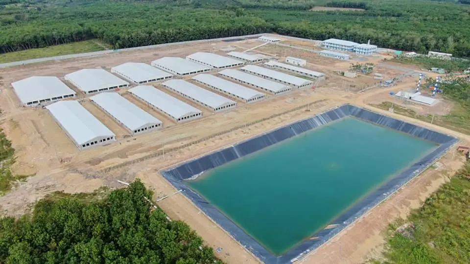 Xử lý nước thải chăn nuôi heo - Giải pháp bền vững cho nông nghiệp hiện đại