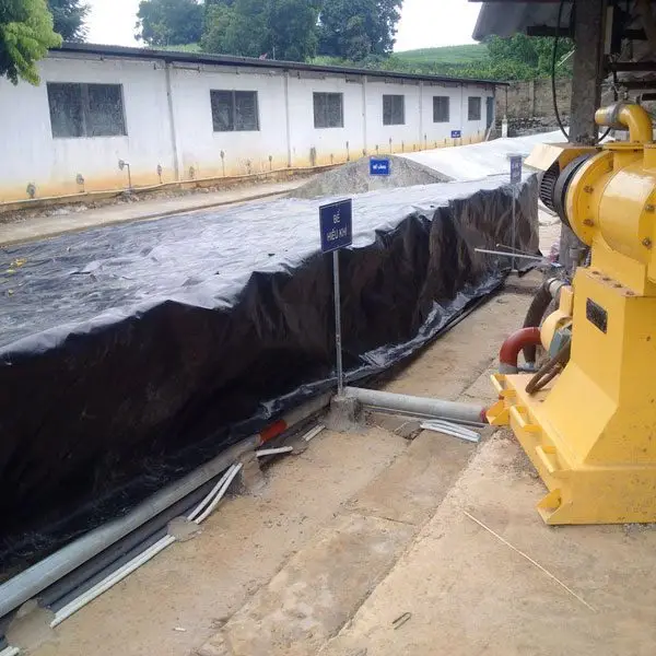 Xử lý nước thải chăn nuôi - Giải pháp bền vững cho ngành nông nghiệp