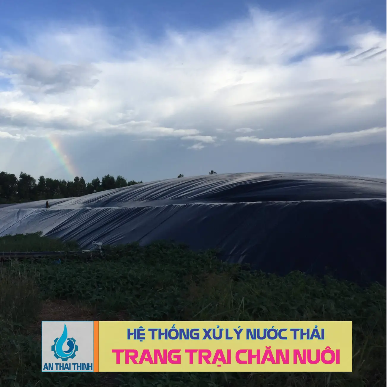 Xử lý nước thải chăn nuôi - Giải pháp bền vững cho ngành nông nghiệp