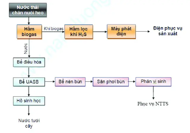 Nguyên Lý Hầm Biogas - Giải Pháp Năng Lượng Xanh Cho Tương Lai