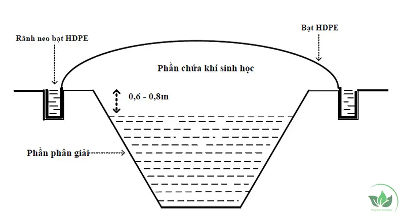 Hầm Biogas - Giải Pháp Xanh cho Chăn Nuôi Hiện Đại