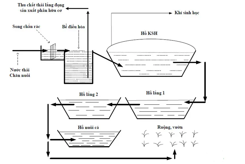 Hầm Biogas - Giải Pháp Xanh cho Chăn Nuôi Hiện Đại