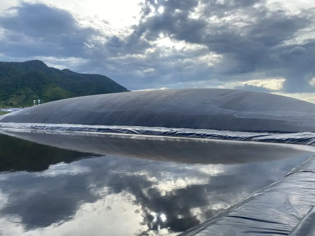 Hầm Biogas - Giải Pháp Xanh cho Chăn Nuôi Hiện Đại