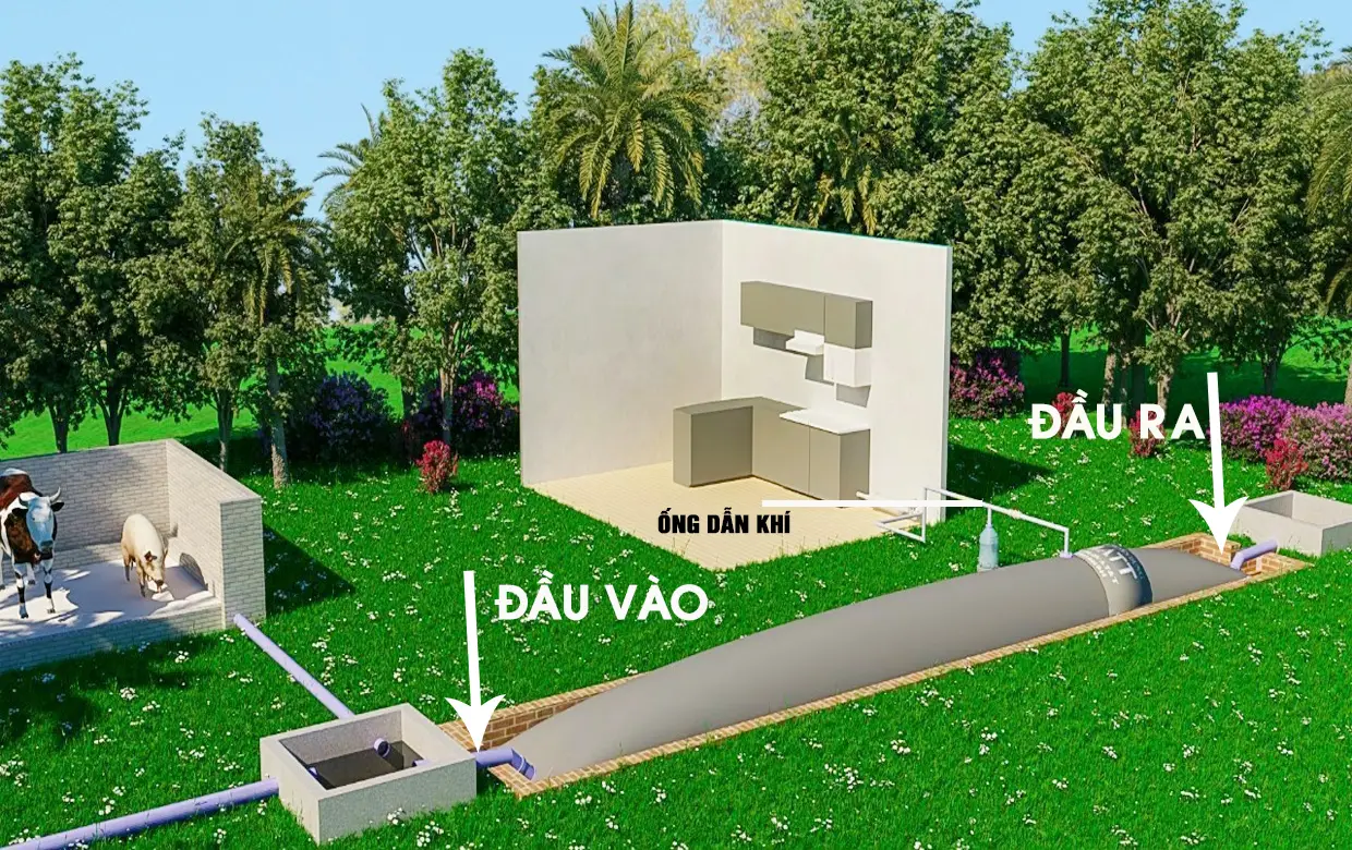 Hầm Biogas - Giải Pháp Xanh cho Chăn Nuôi Hiện Đại
