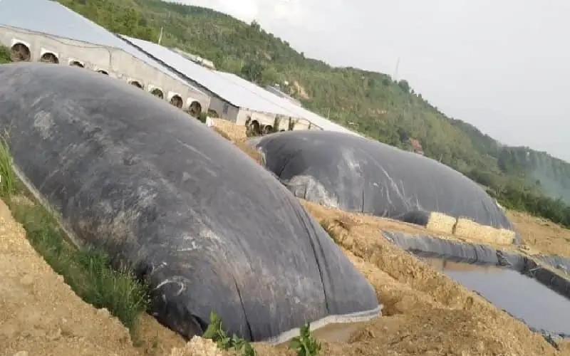 Hầm Biogas Bao Nhiêu Ngày Mới Có Ga? - Giải Mã Thời Gian Tạo Khí  Ứng Dụng