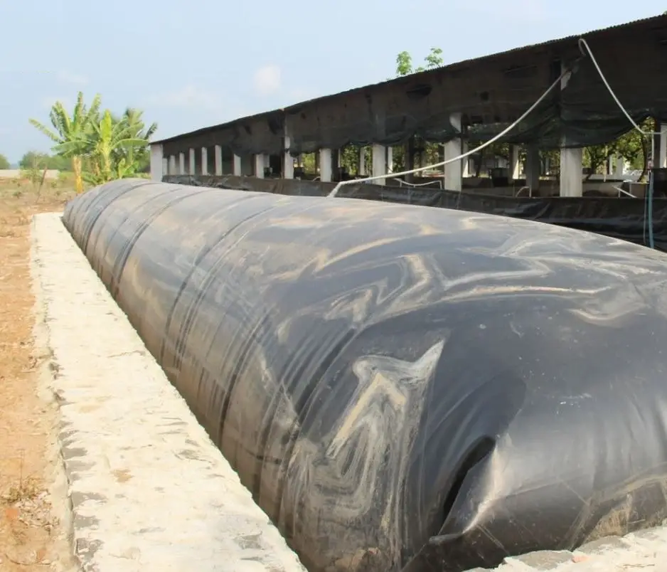 Hầm Biogas Chứa Khí Gì - Năng Lượng Xanh Từ Chất Thải Hữu Cơ
