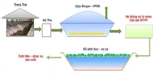 Nguyên nhân hầm biogas không có ga - Khám phá Bí mật  Giải pháp Hiệu quả