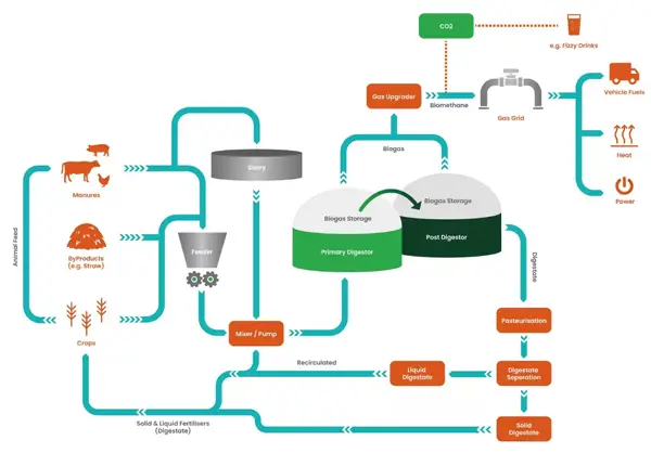 Bể biogas trong xử lý nước thải - Giải pháp bền vững cho môi trường và kinh tế