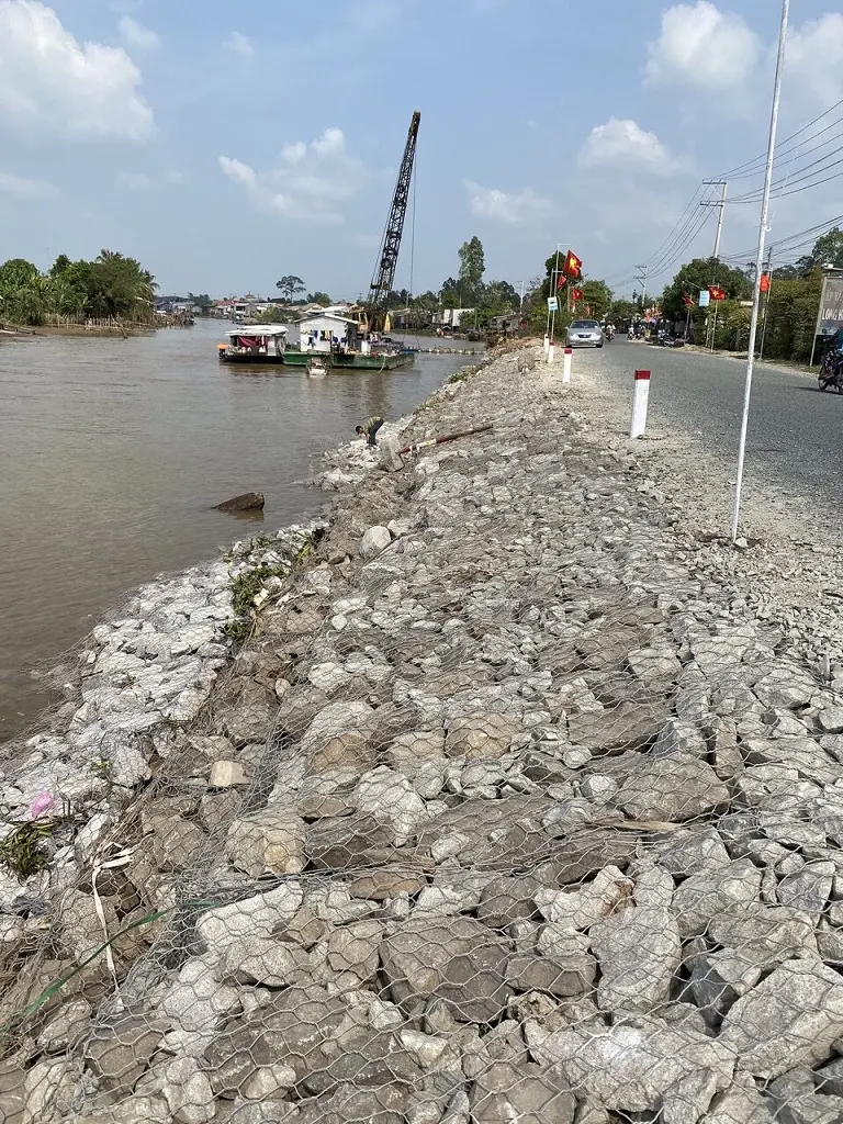 Mua Rọ Đá Hướng Dẫn Chọn Lựa Thông Minh  Tiết Kiệm