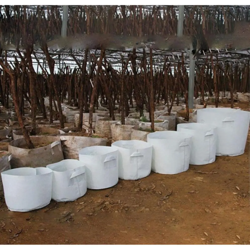 Vải Địa Trồng Cây - Giải Pháp Xanh Cho Nông Nghiệp và Đô Thị